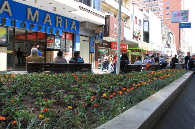 Floreiras do Calçadão estão colorindo o centro da cidade Floreiras do Calçadão estão colorindo o centro da cidade