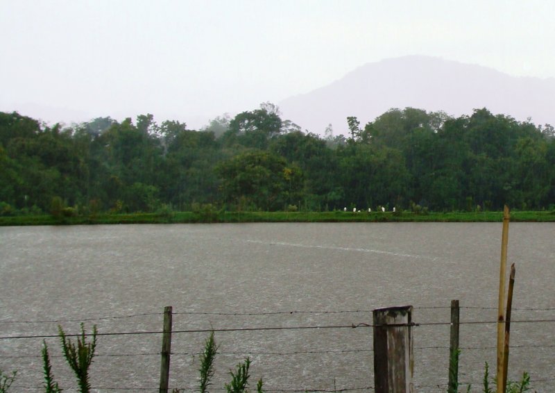 Nível de água nos açudes subiu com a chuva das últimas semanas / Foto: João Vilnei