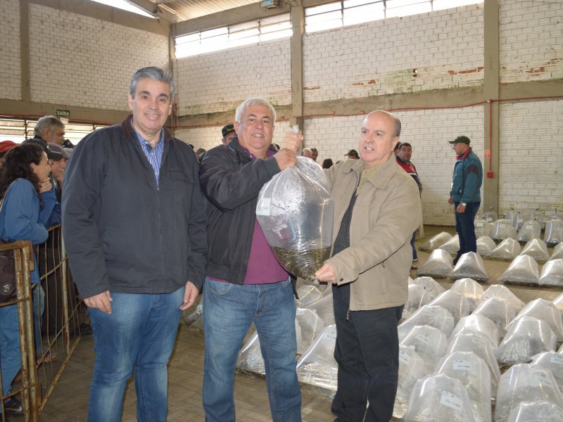Com entrega de 100 mil alevinos produtores comemoram aumento de 500% na produção de pescados Com entrega de 100 mil alevinos produtores comemoram aumento de 500% na produção de pescados
