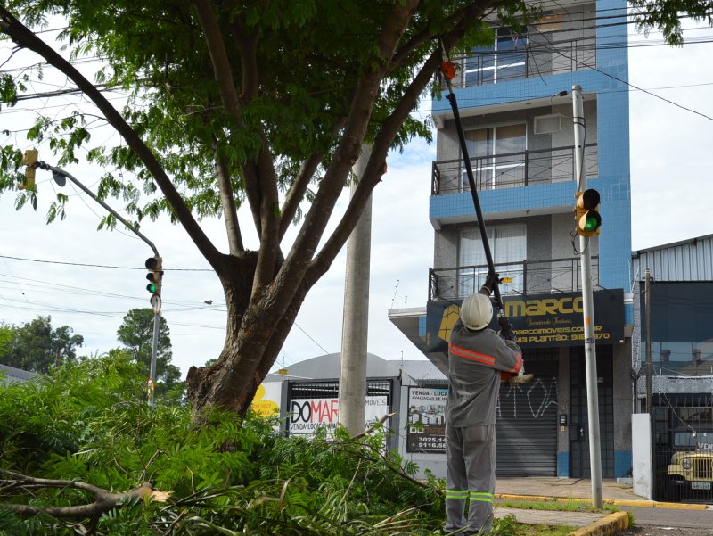 Corte das árvores iniciou na esquina da Rua Venâncio Aires com a Avenida Liberdade na manhã desta segunda-feira (Foto: João Alves)