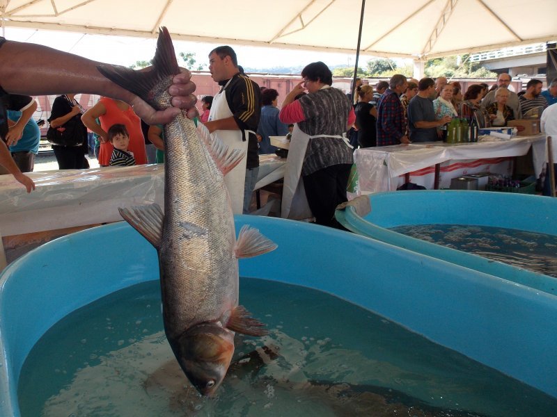 Prefeitura espera vender, nesta edição da Feira, mais de cem toneladas de pescado (Foto: João Alves)