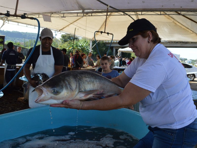  Piscicultores do Município comercializaram pescado em 12 pontos diferentes de Santa Maria (Foto: João Alves)