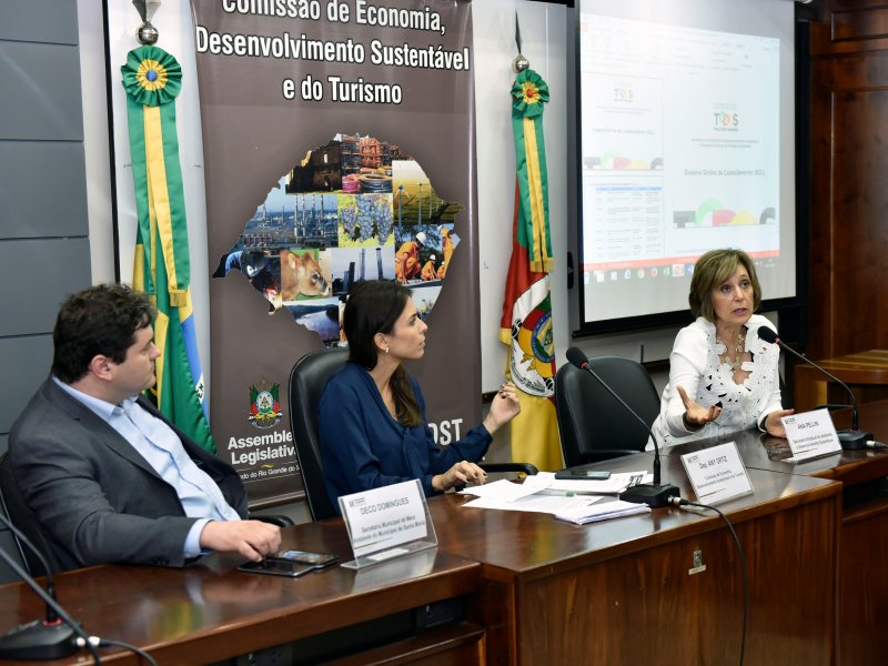 Secretário de Meio Ambiente representou a Prefeitura de Santa Maria durante audiência pública (Foto: Divulgação/ALRS)