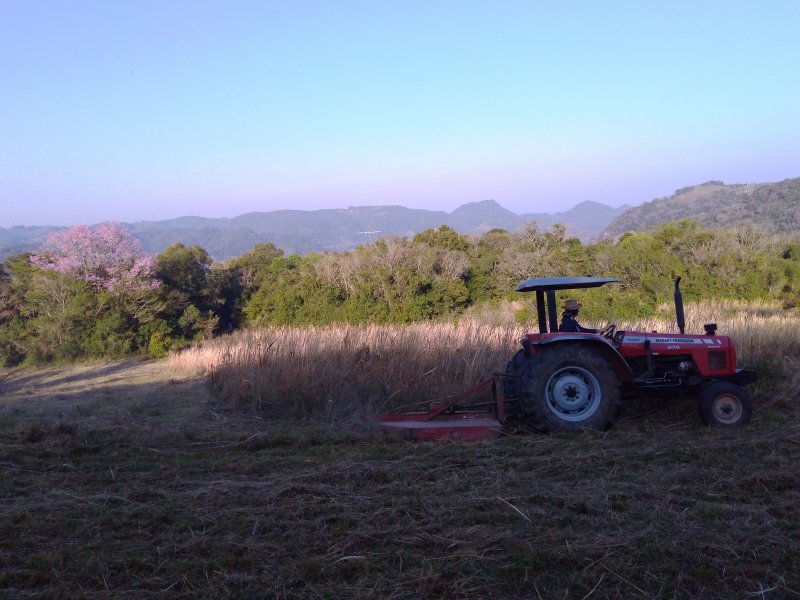 Um trator foi utilizado para roçar a vegetação do parque (Foto: Divulgação/SMA)