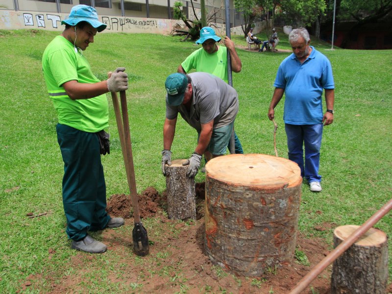 Projeto desenvolvido pela Secretaria de Meio Ambiente transforma troncos de árvores caídas em peças de mobiliário urbano (Foto: Deise Fachin)