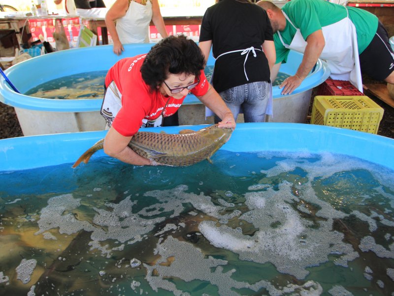 Comercialização de pescado já é tradicional na cidade na Semana Santa (Foto: Deise Fachin)