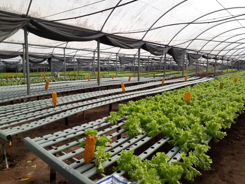 Trabalho de fiscalização está sendo intensificado nos supermercados, depósitos de alimentos, açougues e produtores de hortaliças (Foto: Divulgação/ Prefeitura)
