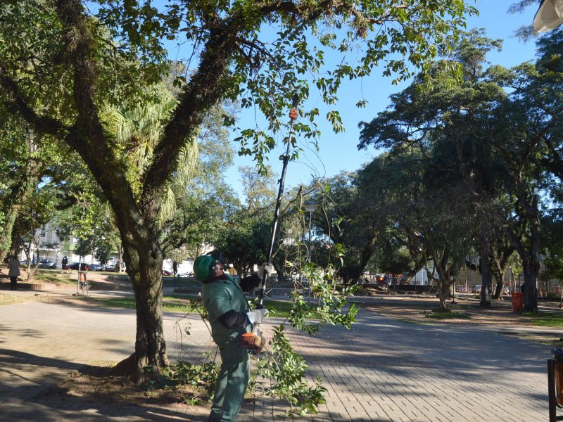 Elevação da copa das árvores é realizada para melhorar a iluminação do local (Foto: João Alves)