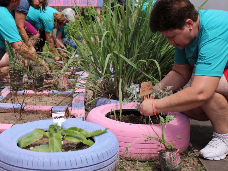 Horta existe há quatro anos, mas foi repaginada e inserida nas atividades do Grupo de Convivência na unidade (Foto: Deise Fachin) Horta existe há quatro anos, mas foi repaginada e inserida nas atividades do Grupo de Convivência na unidade (Foto: Deise Fachin)