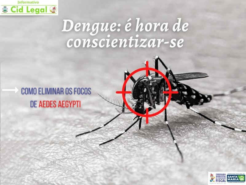 Semana de Mobilização contra o Mosquito Aedes aegypti - Prefeitura  Municipal de Ituporanga