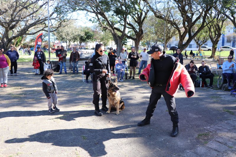 PMSM - Mais de 60 crianças malharam o cérebro na Praça Saldanha