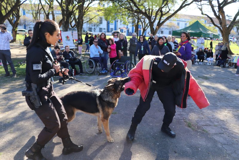 PMSM - Mais de 60 crianças malharam o cérebro na Praça Saldanha