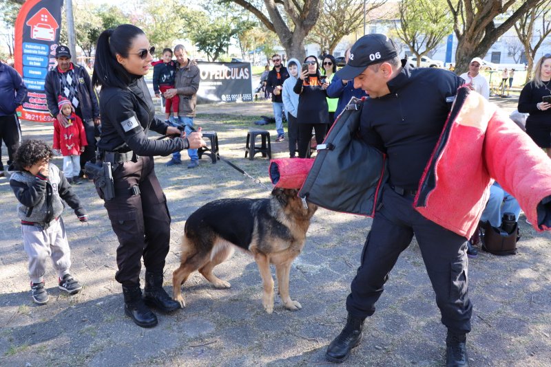 PMSM - Mais de 60 crianças malharam o cérebro na Praça Saldanha