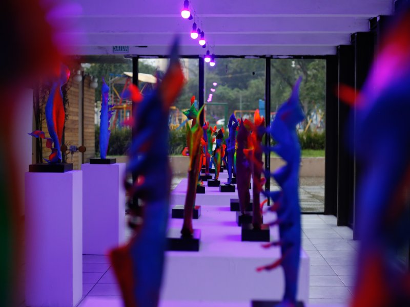 Exposição Em Busca da Luz Exposição Em Busca da Luz