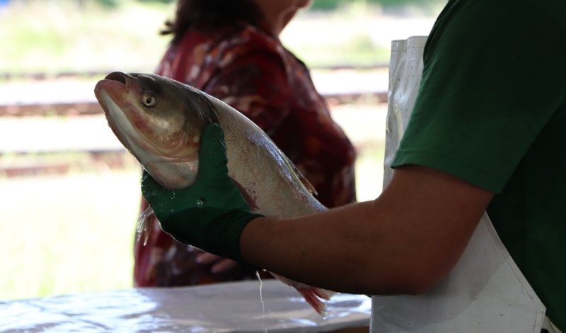 Foto: João Alves (MTb: 17.922)