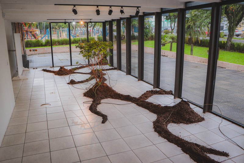 Exposição: Árvores e raízes