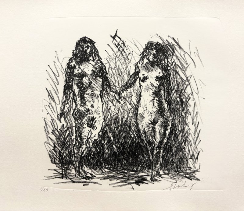Foto 11
